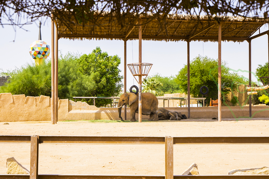 Riyadh Zoo in Al Malaz - AQAR App