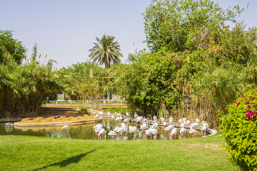 Riyadh Zoo in Al Malaz - AQAR App