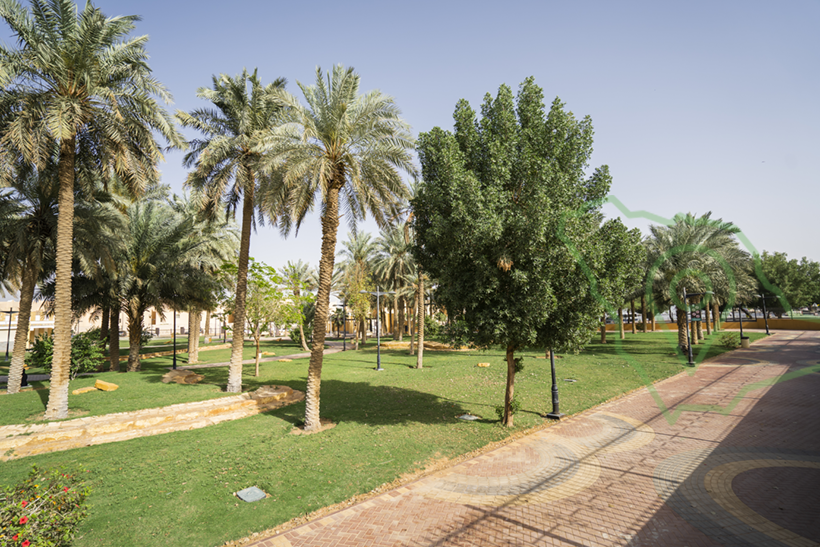 منتزه الوادي بالبديعة