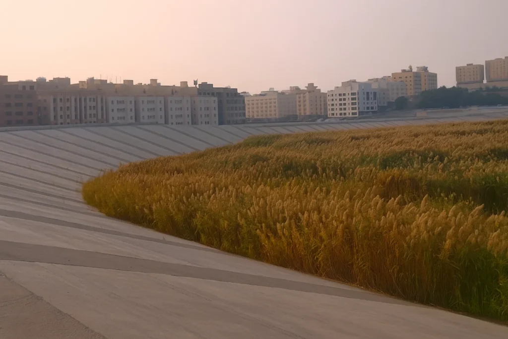 وادي مريخ جدة – تطبيق عقار