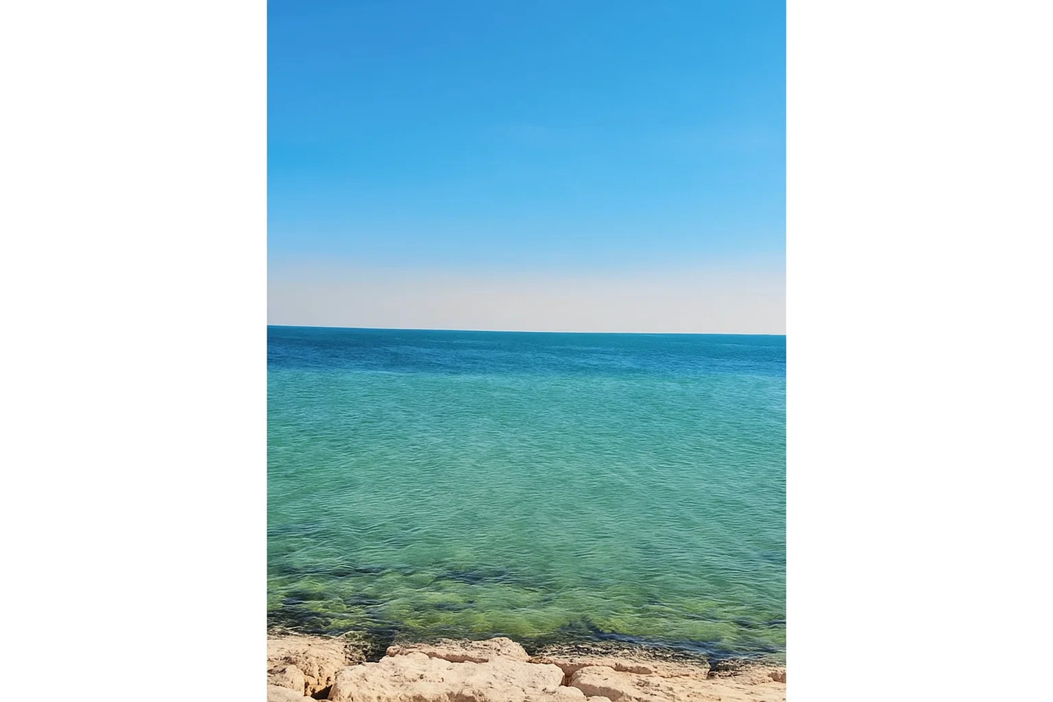 شاطئ نصف القمر​ - تطبيق عقار