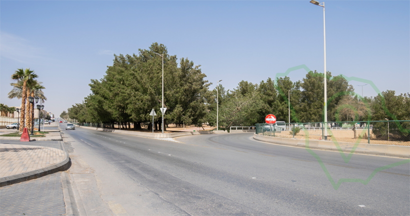 طريق النهضة
