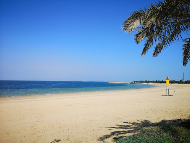 كورنيش دارين يطل على خليج تاروت - تطبيق عقار